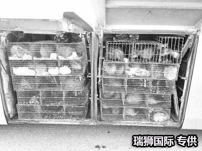 集裝箱的類型 集裝箱的種類 集裝箱用途 集裝箱規(guī)格 集裝箱箱型尺寸對(duì)照表、集裝箱尺寸表、集裝箱規(guī)格有幾種尺寸