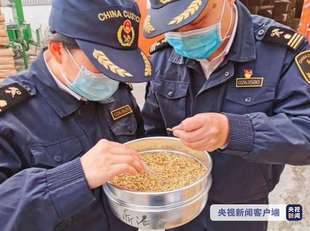 國際物流 國際貨運(yùn)代理 貨運(yùn)代理公司 航空國際貨運(yùn) ?？章?lián)運(yùn) 多式聯(lián)運(yùn)