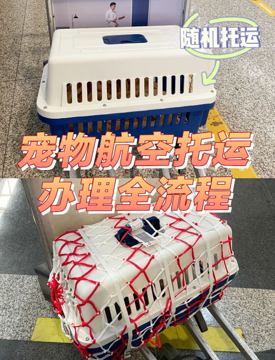 埃及貨貨運(yùn)代理 埃及國際物流公司  埃及進(jìn)出口報(bào)關(guān)公司 埃及國際貨運(yùn)代理有限公司