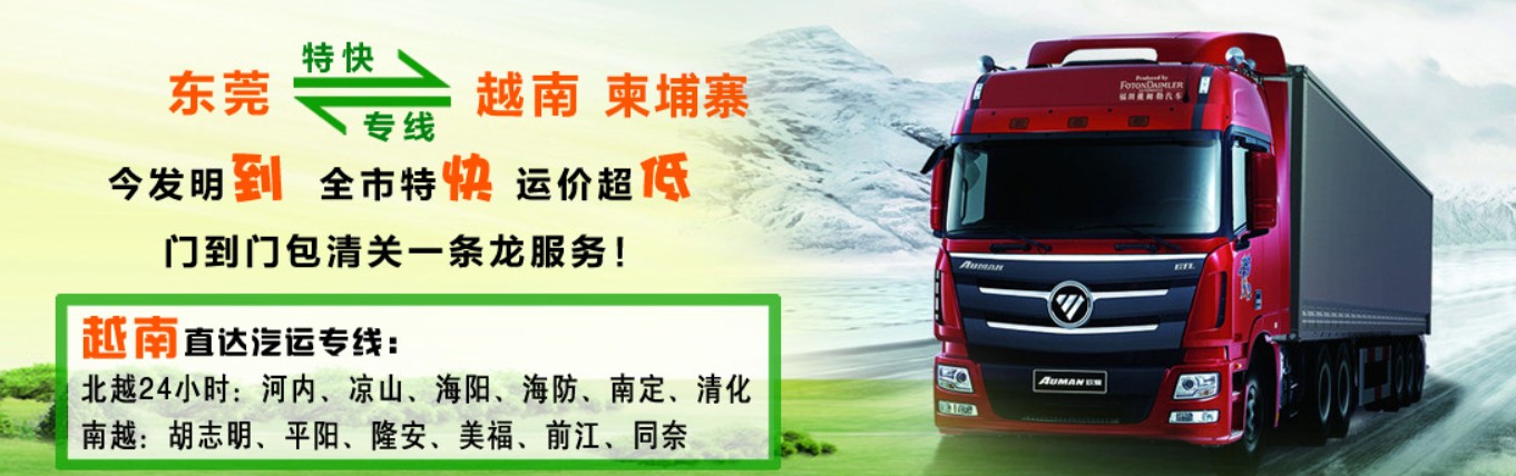 越南進(jìn)口清關(guān)公司  越南進(jìn)口貨運代理 越南國際物流有限公司