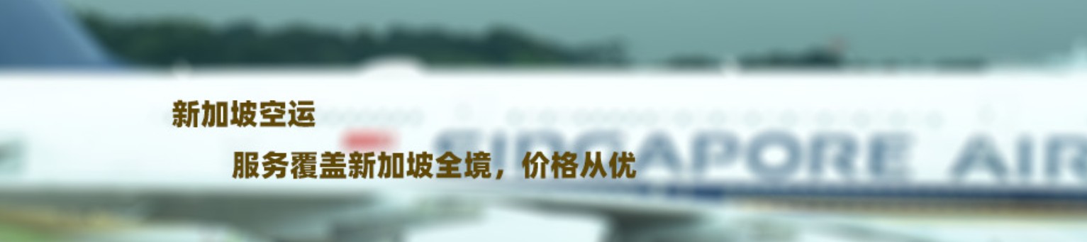 新加坡專線 新加坡海運(yùn)船期查詢 新加坡空運(yùn)貨物追蹤 新加坡?？章?lián)運(yùn)雙清包稅門到門