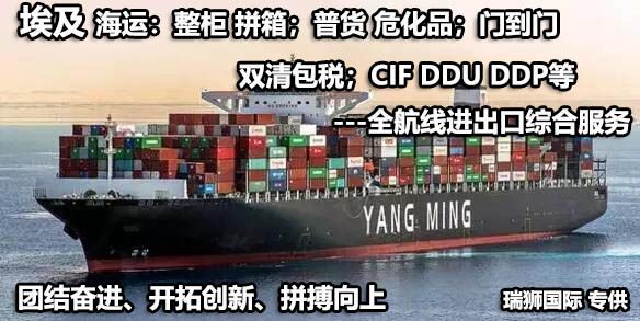 埃及貨貨運(yùn)代理 埃及國(guó)際物流公司  埃及進(jìn)出口報(bào)關(guān)公司 埃及國(guó)際貨運(yùn)代理有限公司