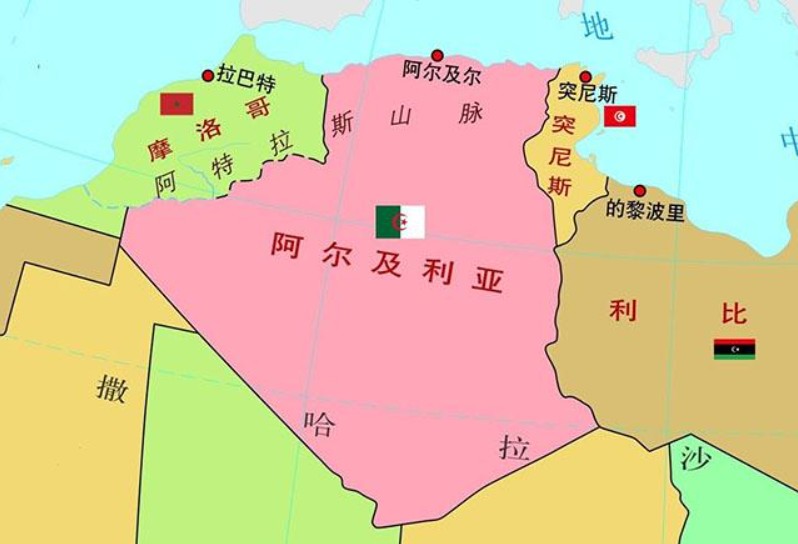 阿爾及利亞物流貨運專線 阿爾及利亞空運 阿爾及利亞海運 阿爾及利亞?？贞懚嗍铰?lián)運