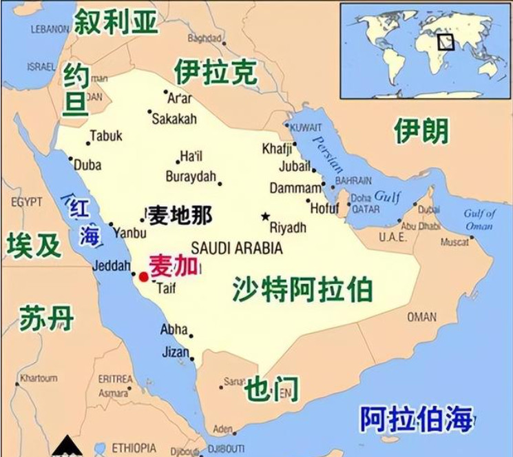 中東貨運(yùn)代理 中東國(guó)際物流公司  中東進(jìn)出口報(bào)關(guān)公司 中東國(guó)際貨運(yùn)代理有限公司