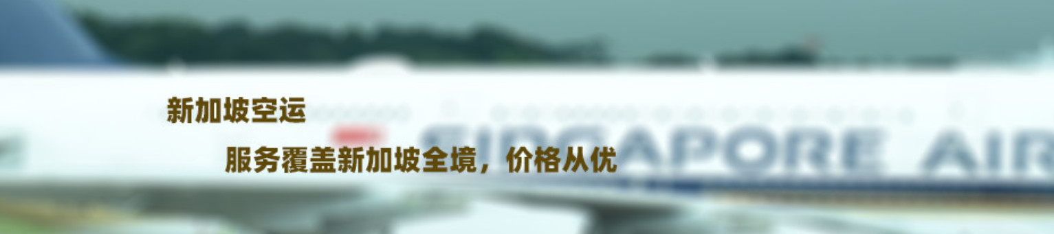 新加坡專線，新加坡包稅專線，新加坡雙清專線，新加坡雙清快遞，新加坡包稅快遞，電子煙到新加坡雙清快遞，煙油到新加坡雙清包稅空運快遞
