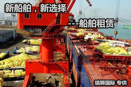 散貨物流 散雜船租賃 散貨船運(yùn)輸 Bulk transport Bulk Agent