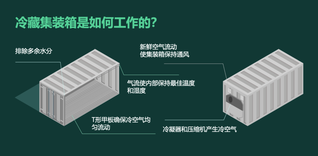 集裝箱冷柜如何運(yùn)作？冷藏集裝箱工作原理 冷凍柜制冷原理