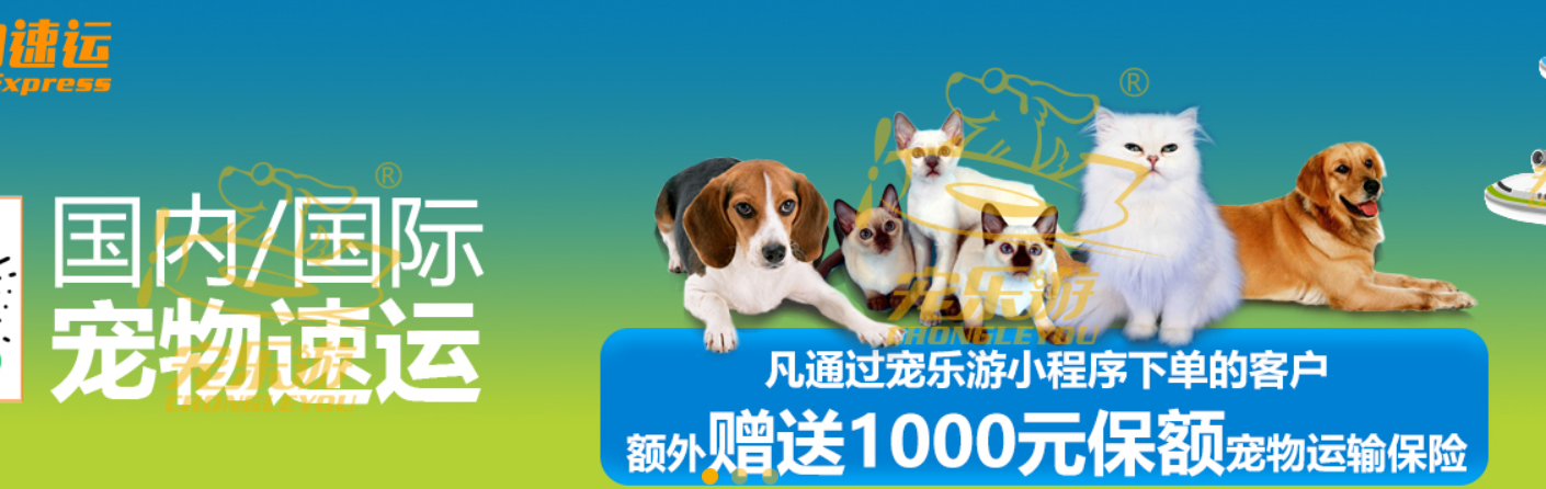 寵物托運的方式及費用？